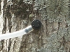 pict0012